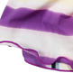 Sl60061-2_small
