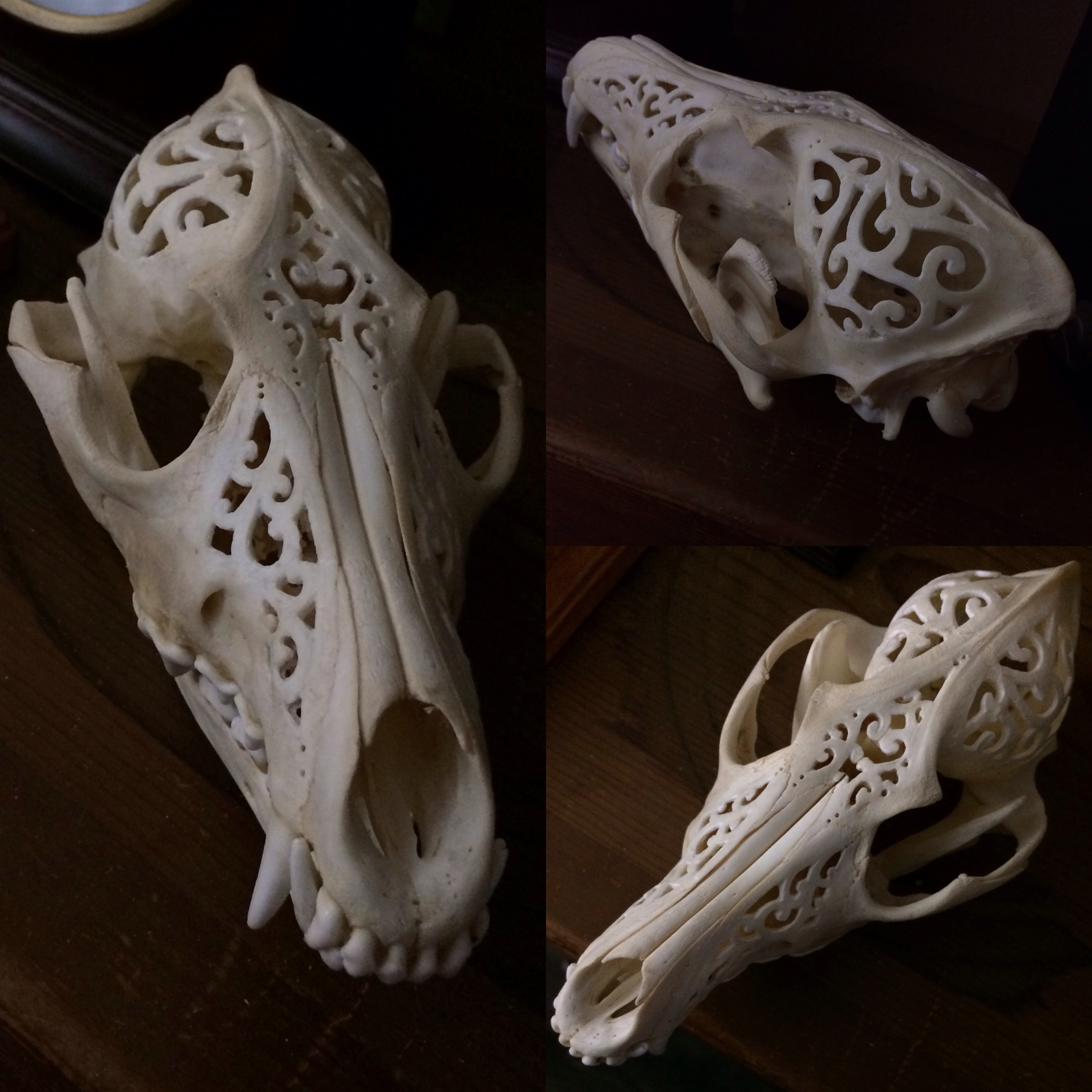 Pin by Sarah Roemmich on 10reom | Skull carving, Coyote skull, Skull art