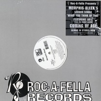 Memphis Bleek - What You Think Of That/My Hood To Your Hood 12" Vinyl