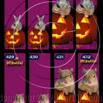 Bookmark | (individual)