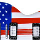 Usa-flag-electric3_small