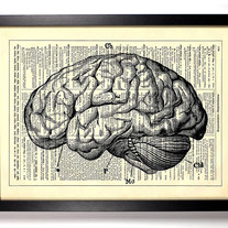 Image of Anatomy Brain, Human Anatomy, Vintage Dictionary, 8 x 10