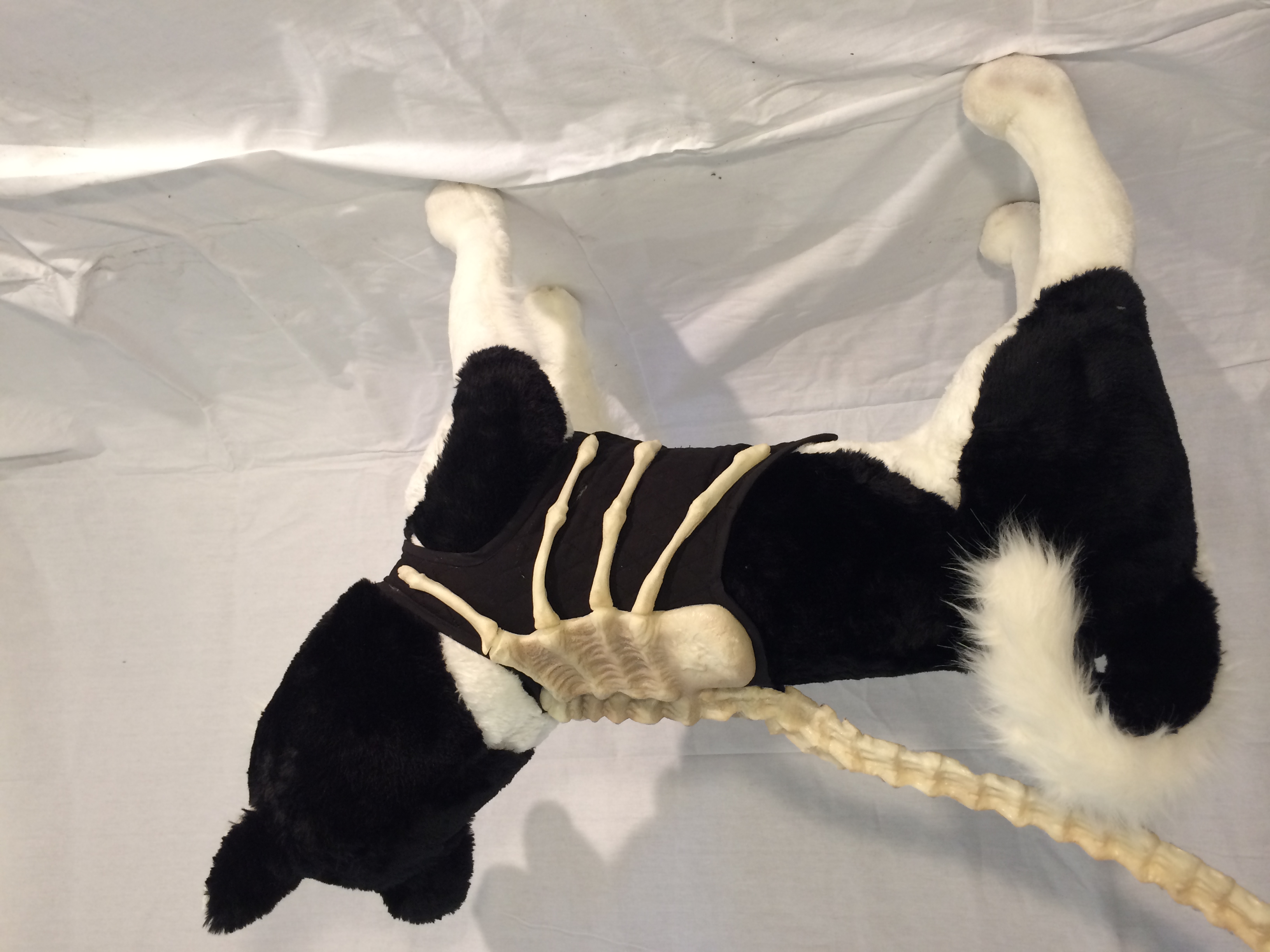 Alien Facehugger Dog Leash on Storenvy