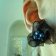 Dainty_ear3_small