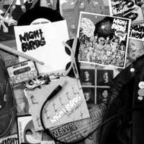 Night Birds "Fresh Kills: Volume 1" 12" LP (Grave Mistake)