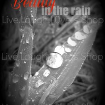 Findthebeauty8x10proof_medium