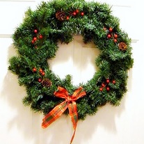 Woodland_pine_medium