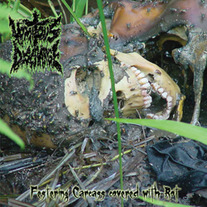 Vomitous Discharge - Festering Carcass Covered With Rot 
