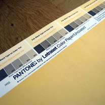 Vintage PANTONE® Poster - Pantone 134U 