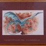 Bluebandeddragmatted_small
