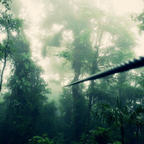 Zipline_medium