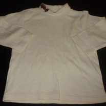 Creme Turtleneck with Firetruck-Gymboree Size 2T