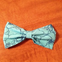 Turquoise Bow