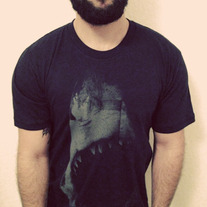 Shark_20front_medium