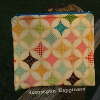 Zippy Pouch - Fly a Kite