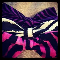 Zebra Collection