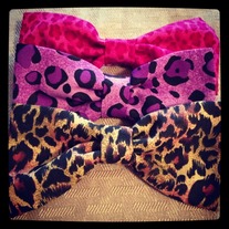 Cheetah Collection