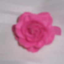 100_0784_medium