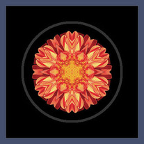 Orange Dahlia II