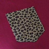 Red Shirt with Cheetah Print T-Shirt