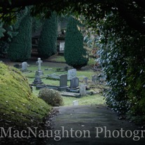 Through_the_trees-6049_medium