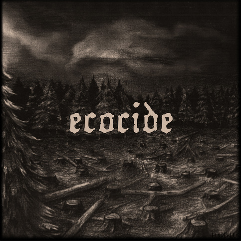 Ecocide "When Will It End" LP