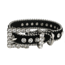 Petcollar_medium