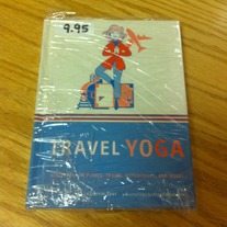 Travel Yoga by Darrin Zeer