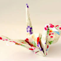 Kimono Bird