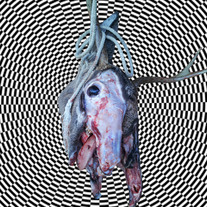 Cover_20idea_medium