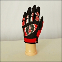 Black and Red Bike Gloves
