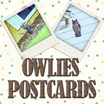 Owlies_1_medium