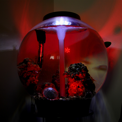 Aqua Mood Light on Storenvy