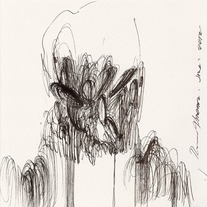 Drawing 0863