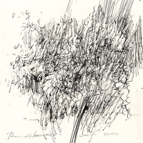 Drawing 0944