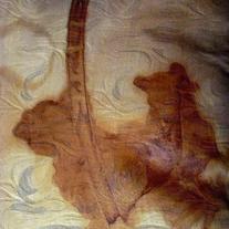 Art by nature - digital art