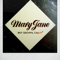 Cell_sticker_orange_black_medium