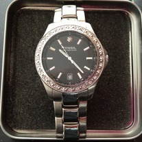 Fossillwatch_medium
