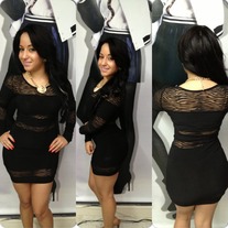 Zebra Mesh Dress