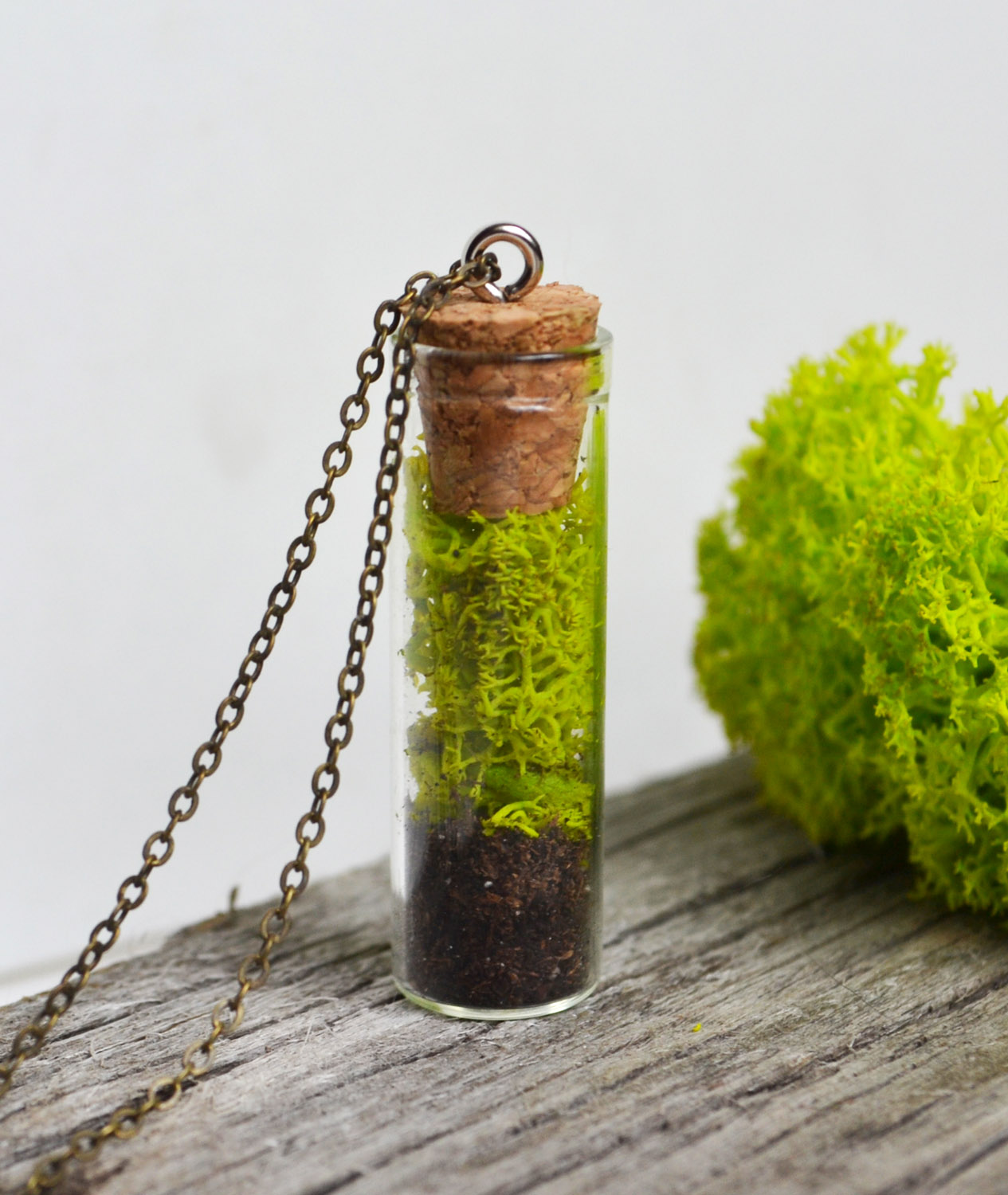 Moss Necklace, Nature Lover Gift, Vial Necklace, Plant Jewelry