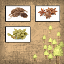Wormwood-fennel-star-anise_medium