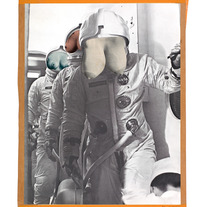 Titfaced: Apollo Whatever | Nil Ultra | Original