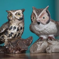 Cute Vintage Owls