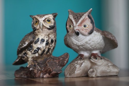 Thrifted_vintage_owls_1_original