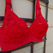 Red_20bra_20front_medium