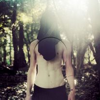 ◯ "Black Sea of Trees" LP