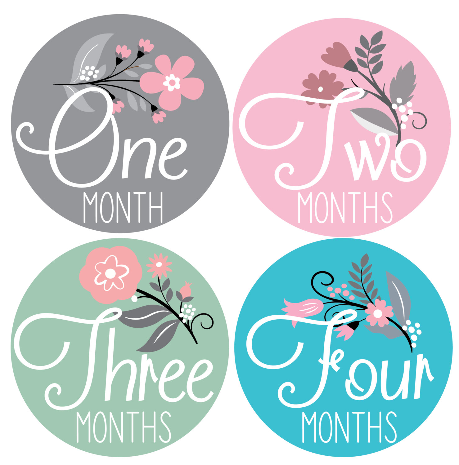 Baby Monthly Milestone Stickers 12 Stickers Floral Monthly Baby 