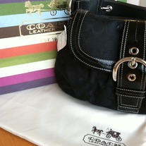 Photo1_medium