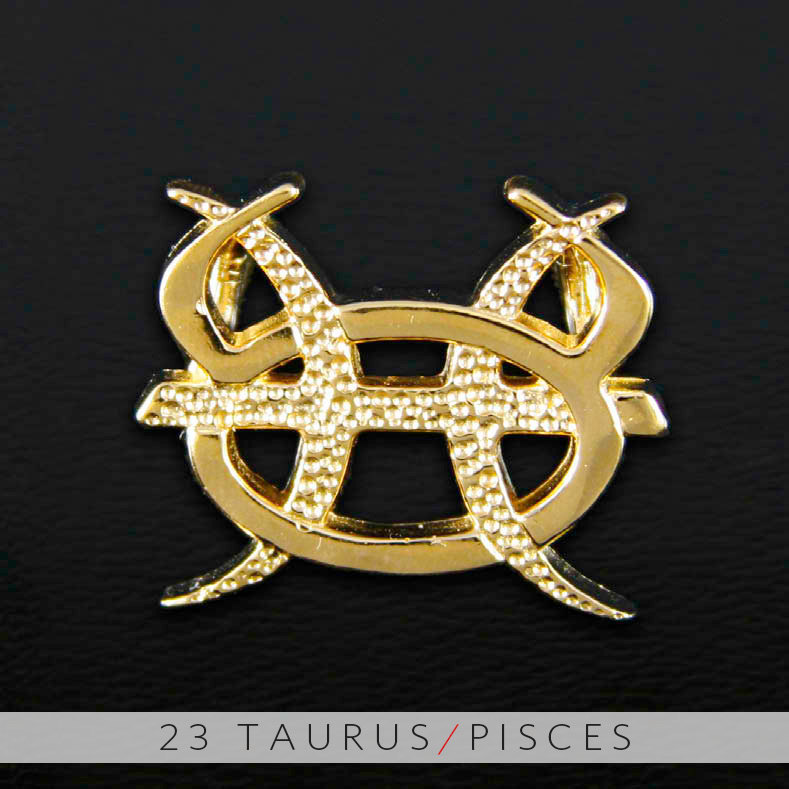 unity design concepts 23 taurus and pisces gold unity unity design concepts 23 taurus and pisces gold unity