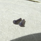 Dscf4896_small